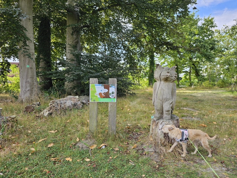 De leeuwenhofwandeling door de Vinderhoutse bossen in Gent