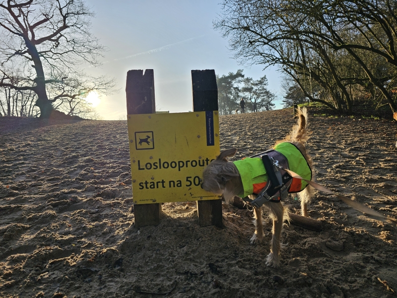 De loslooproute aan de Roestelberg in Kaatsheuvel