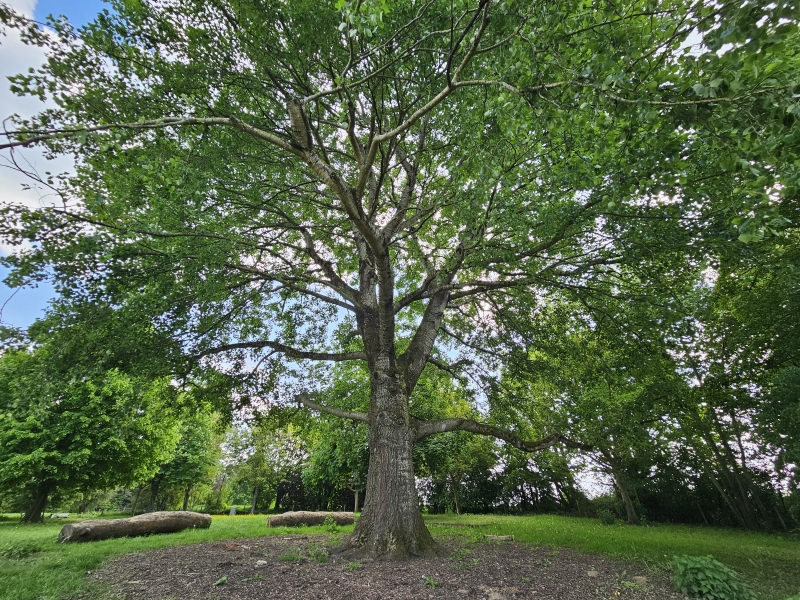 De Mollekensberg in Winksele, Herent De Mollekensberg in Winksele, Herent