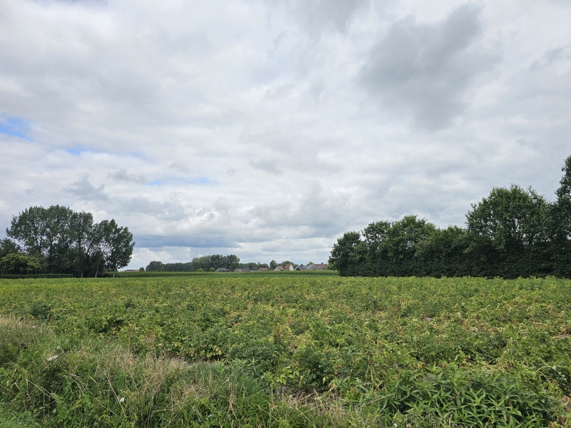 De natuur in Tielrode, Temse De natuur in Tielrode, Temse