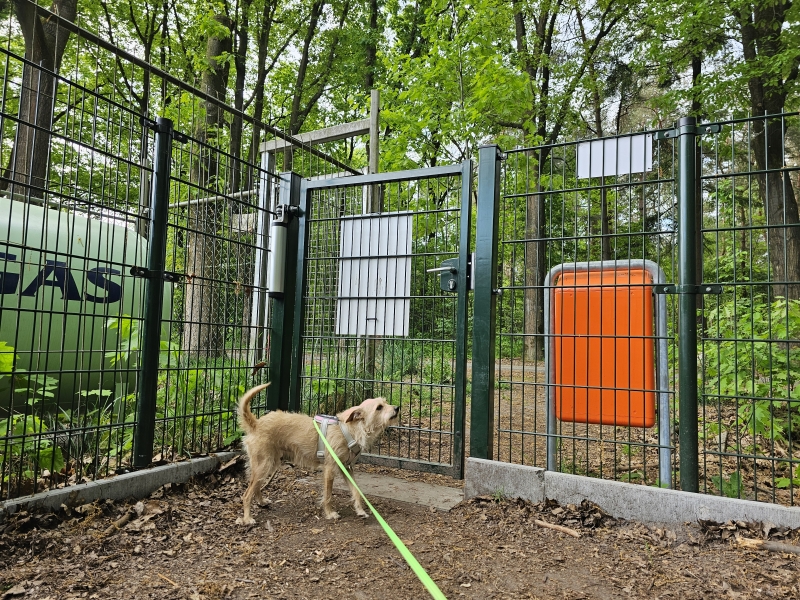 De omheinde hondenspeelweide in Wouwse Plantage in nederland