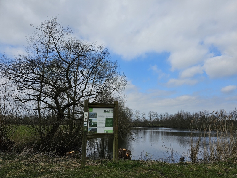De Pilleput, een visvijver in Grembergen, Dendermonde
