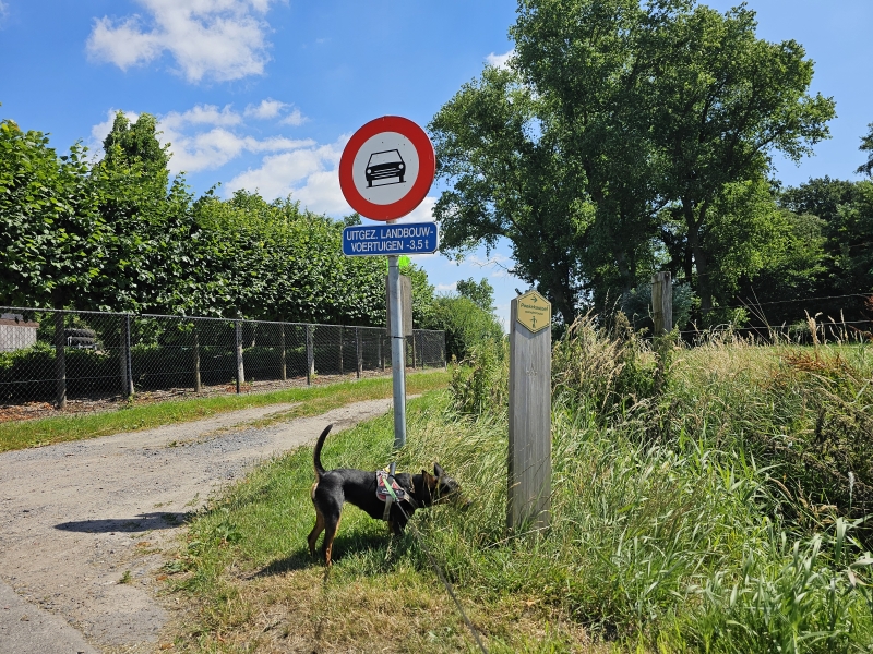 De Poekekasteel wandelroute in Aalter, Poeke met hond