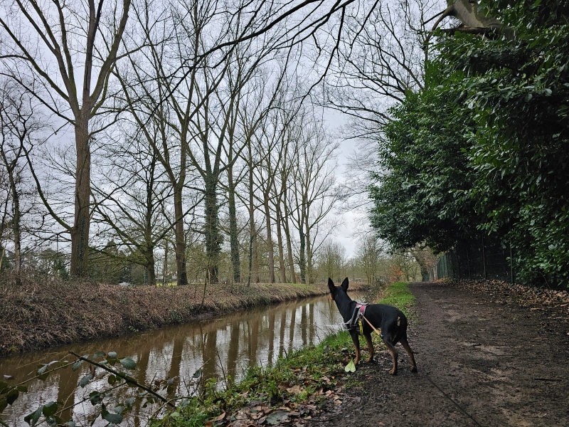 De rivier de Kleine Nete in Vorselaar De rivier de Kleine Nete in Vorselaar