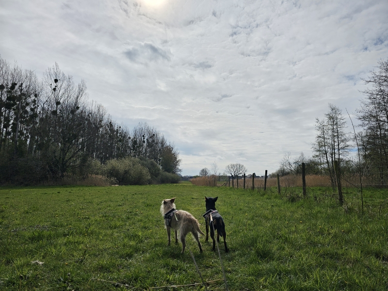 De Rotte Gaten in Meerbeek, Kortenberg
