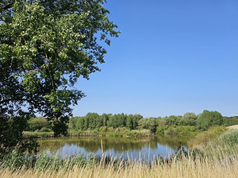 De Rupel langs de wandelroute in Heindonk, Willebroek met hond