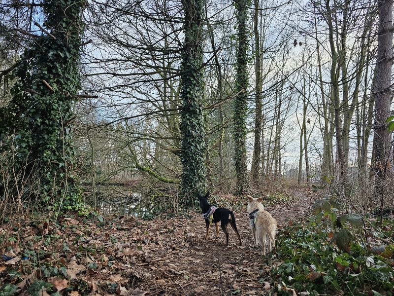 De Schans van Bosbeek Sint-Katelijne-Waver