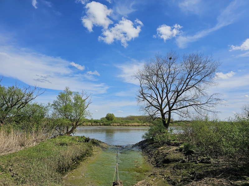 De Schelde in Moerzeke