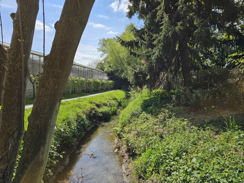 De Struisbeek in Wilrijk