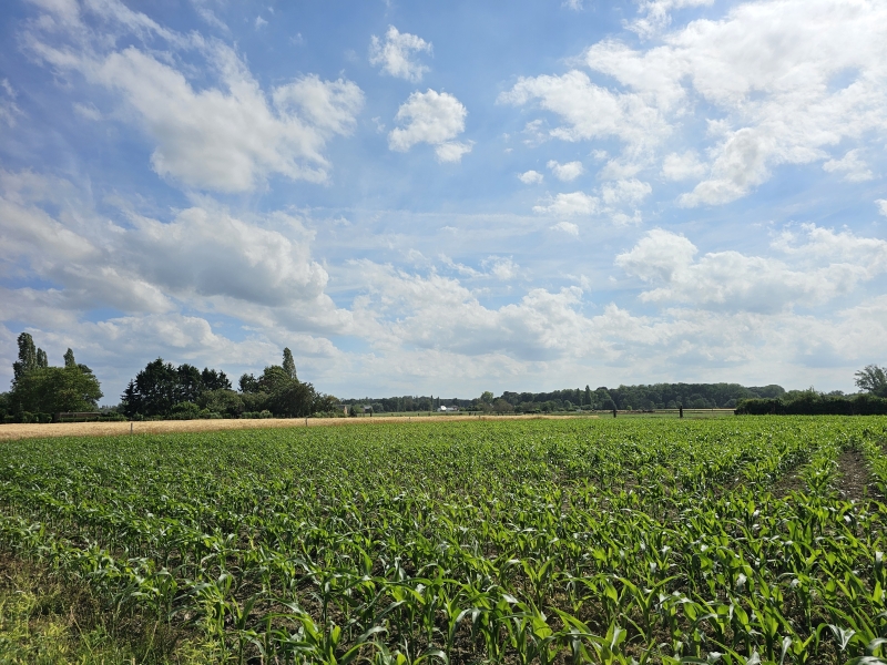 De velden in Zemst