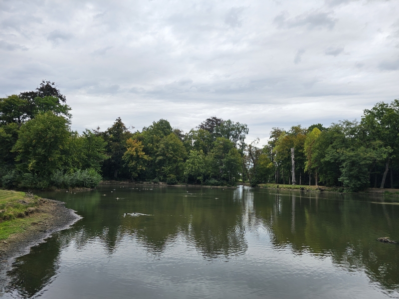 De vijver bij Hof ter Linden in Edegem