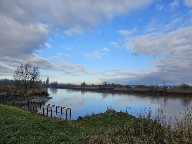 De vlassenbroekse polder