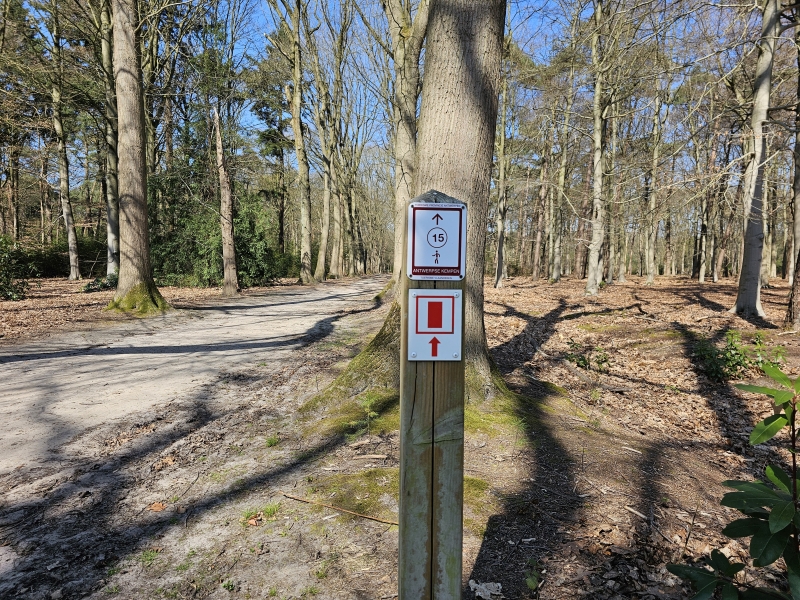 De wandelroute door het Mastenbos in Kapellen waar honden wel zijn toegelaten (honden zijn namelijk verboden op het loopgravenpad)