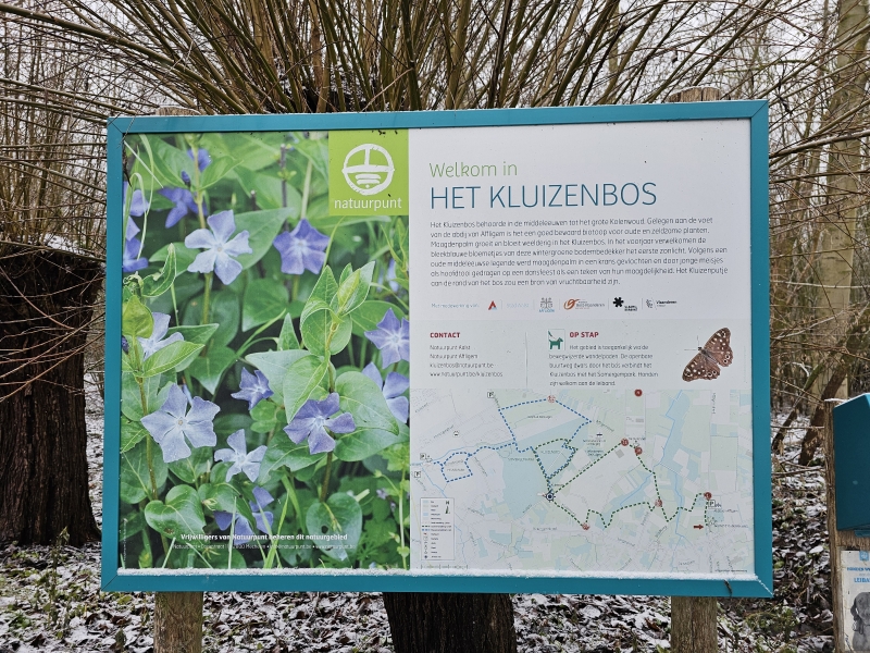 De wandelroutes door het Kluizenbos in Affligem en Aalst