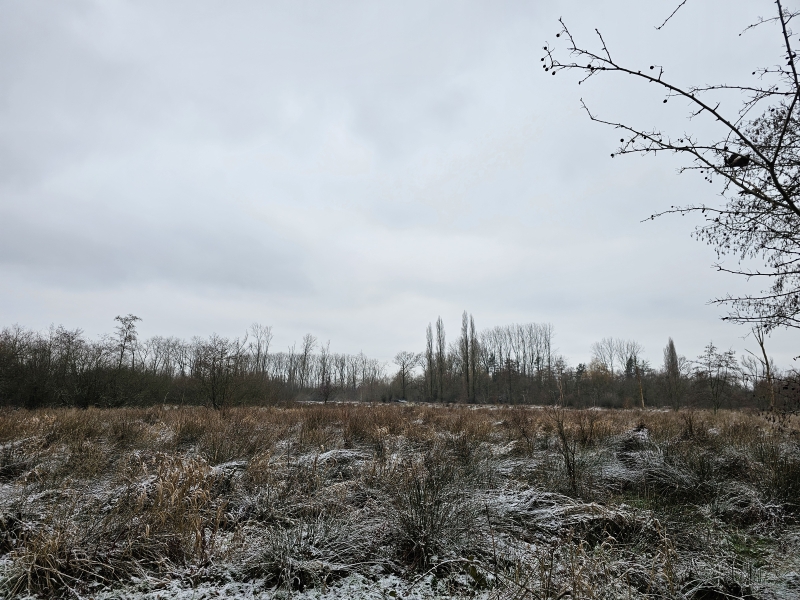 De Wellemeersen in Denderleeuw blauwe wandelroute