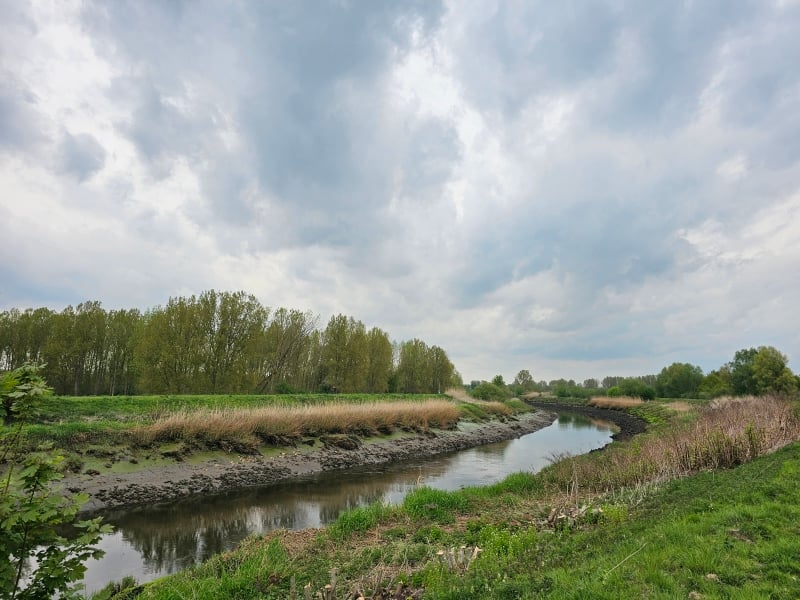 De Zenne in Mechelen en Rumst