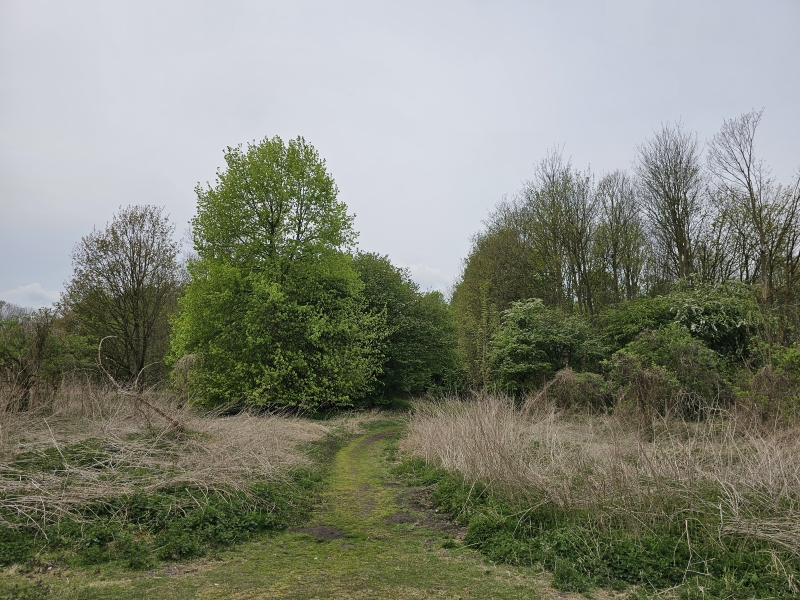 Den Battelaer in Mechelen en Rumst