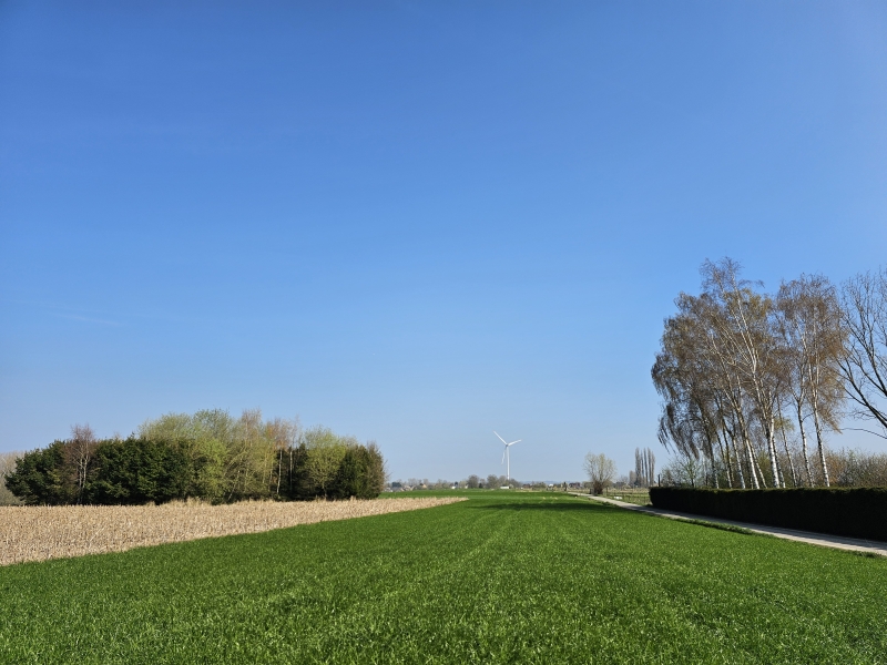 Denderhoutem Haaltert wandelen met hond door Keelman-Zuid Denderhoutem Haaltert wandelen met hond door Keelman-Zuid