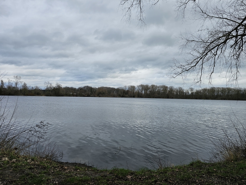 Destelbergen Damvalleimeer wandeling