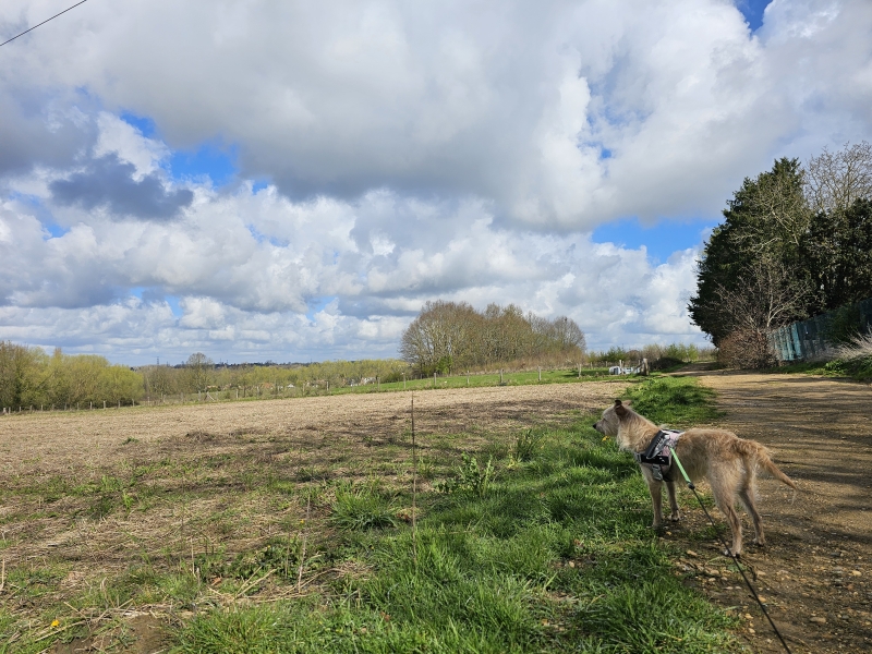 Dilbeek uitzicht over de Wolfsputten
