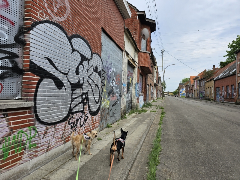 Doel bezoeken met hond