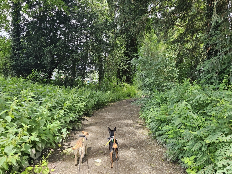 Drie Fonteinen park in Vilvoorde