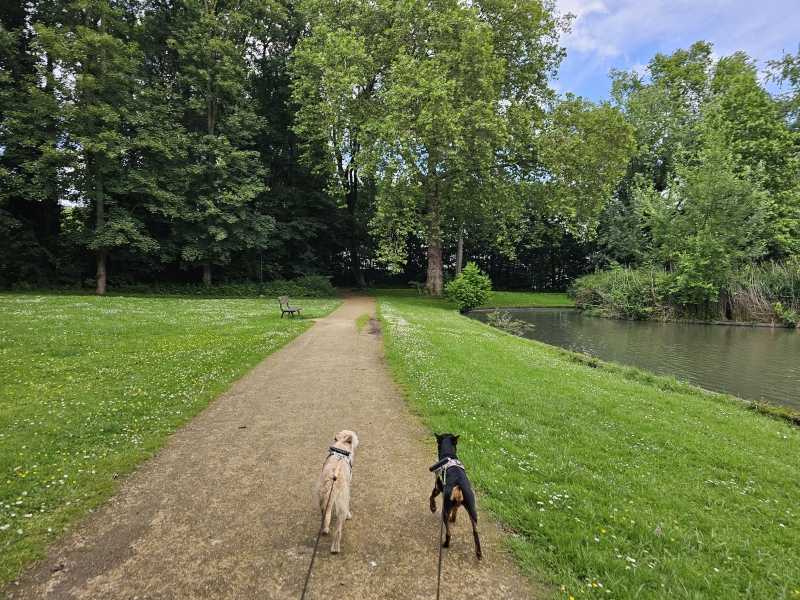 Drie Fonteinen park in Vilvoorde wandelroute