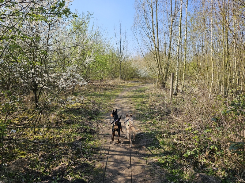 Drijdijck Kieldrecht wandelroute