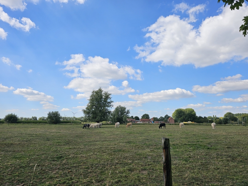 Durmeboorden wandelroute in Durmen Durmeboorden wandelroute in Durmen