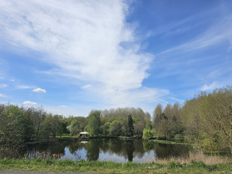 Een wiel of waterplas in de Scheldevallei in Moerzeke