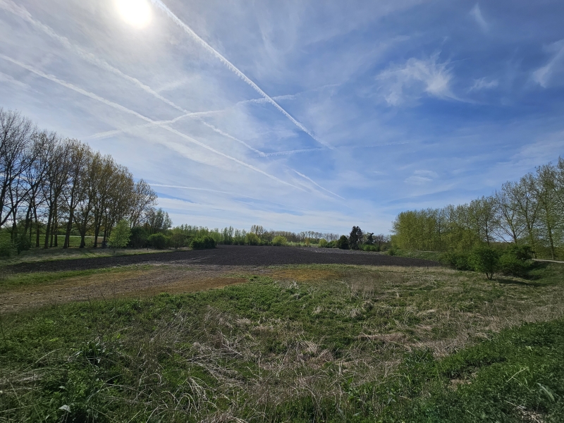 Enkele velden op de wandelroute door de Scheldevallei in Moerzeke en Kastel in Hamme