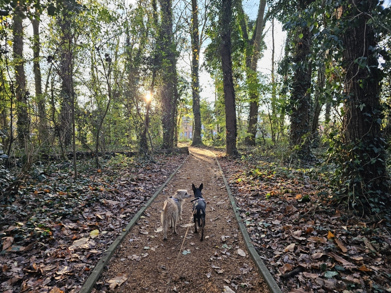 Fort 2 Wommelgem Antwerpen wandelen met hond Fort 2 Wommelgem Antwerpen wandelen met hond