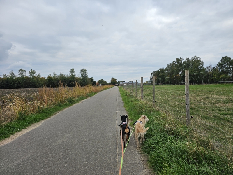 Fort Liezele wandelen Fort Liezele wandelen