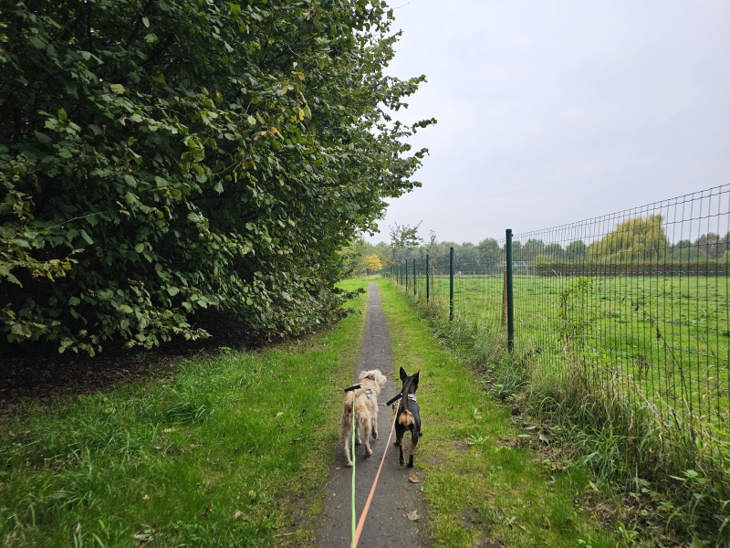 Fort wandelen Borsbeek Fort wandelen Borsbeek