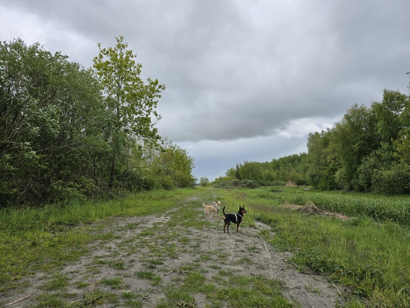 Friesland rolstoeltoegankelijke natuurgebieden hond los