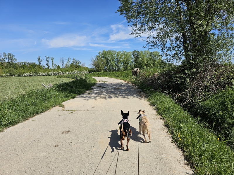 Geelstervallei wandelroute in Lede