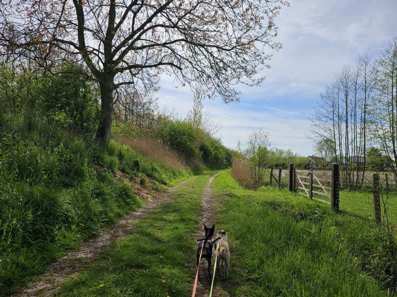 Gele wandelroute door de Scheldevallei in Moerzeke