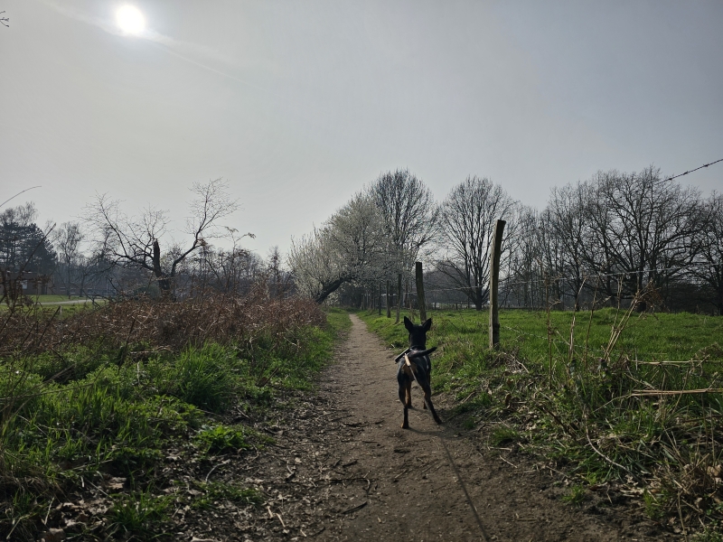 Goorbosbeekvallei en Mosterdpot natuurgebied in Duffel, Antwerpen