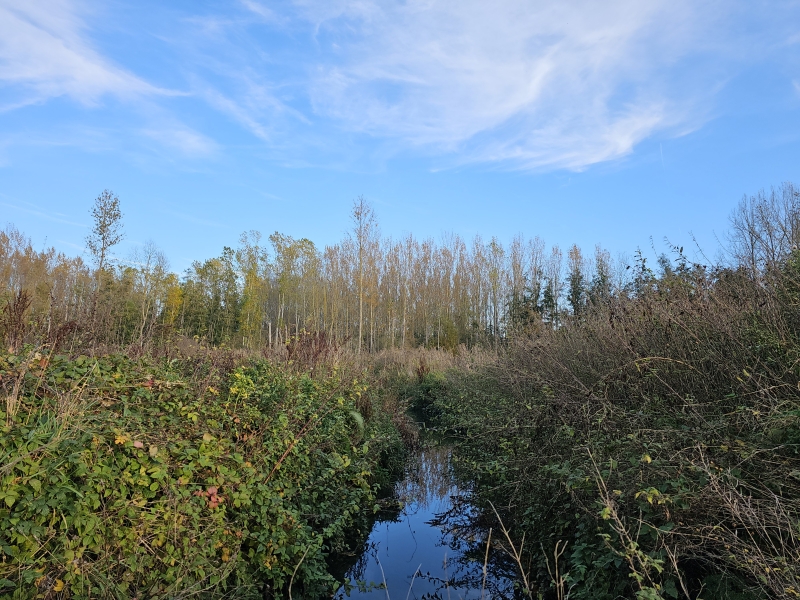 Gravenbos wandelroute in Humbeek 6,1 kilometer