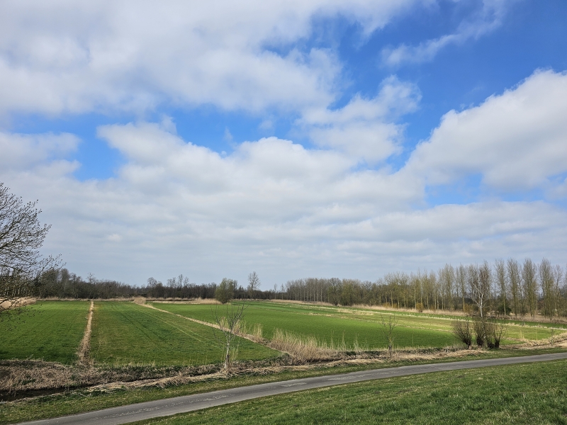 Grembergen Broek met het Groot Schoor in Grembergen, Dendermonde