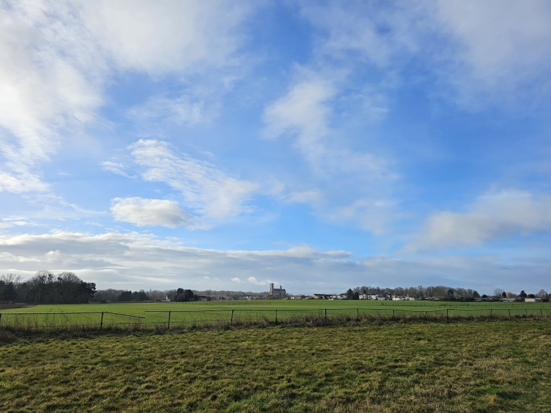 Grimbergen wandelen met hond in het Lintbos