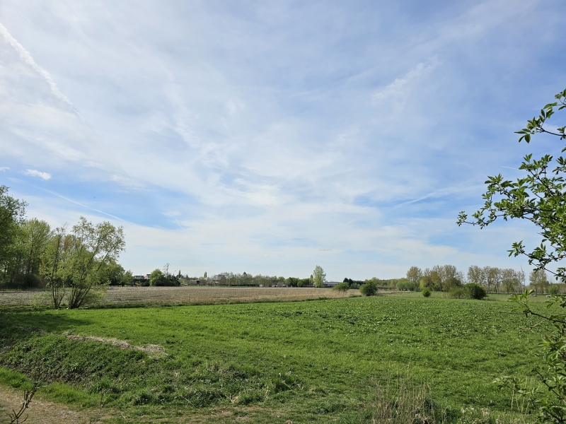 Groene velden op de wandelroute door de Scheldevallei