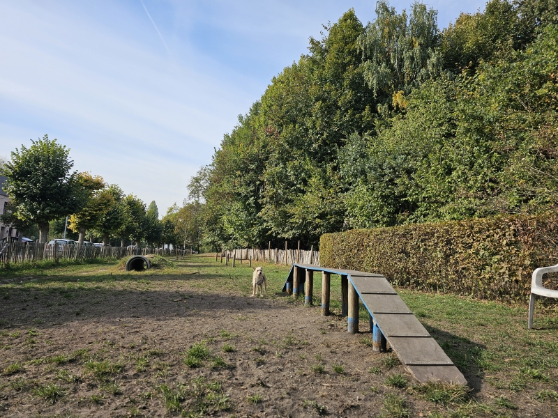 Hemiksem wandelen met hond Hemiksem wandelen met hond