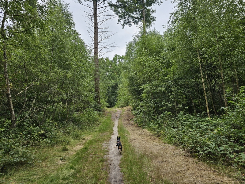 Hendrikbos ingang Belvederebos West