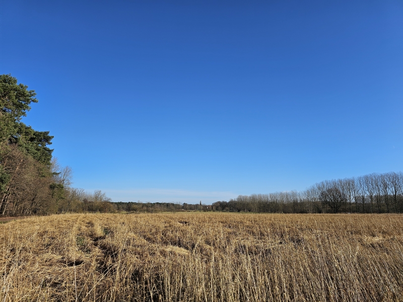 Het Boortmeerbeeks Broek: uitzicht over de velden