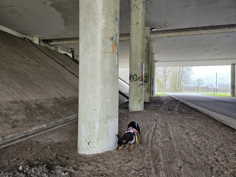 Het damvalleipad 9,5 kilometer door de Damvallei in Destelbergen
