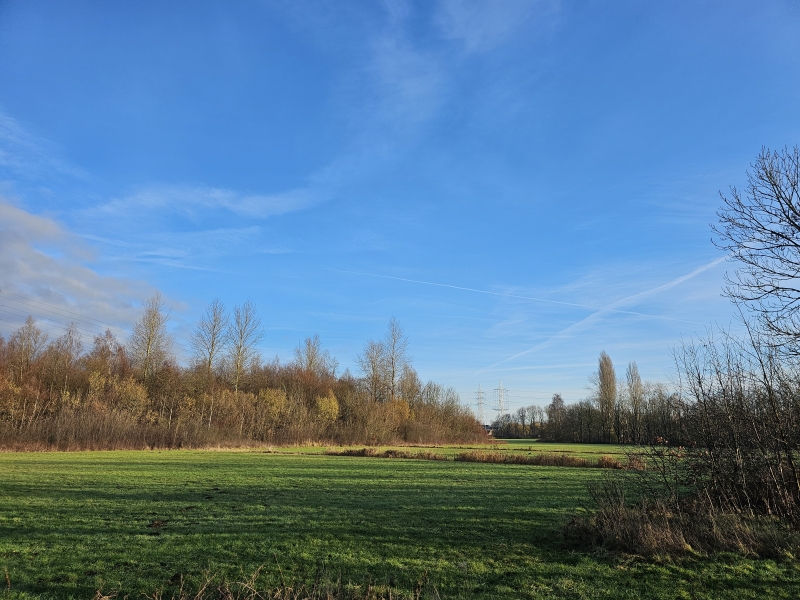 Het Ekers Moeras en de Ekerse Putten wandeling