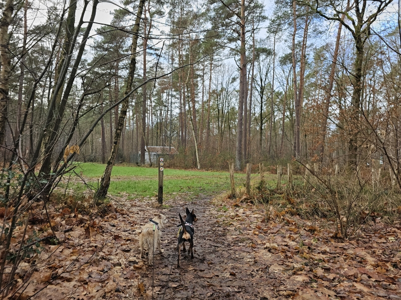 wandelroute wandelroute