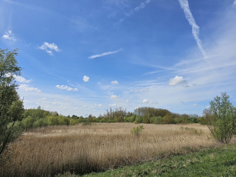 Het Lippenbroek in Moerzeke, Hamme in het Waasland, Oost-Vlaanderen