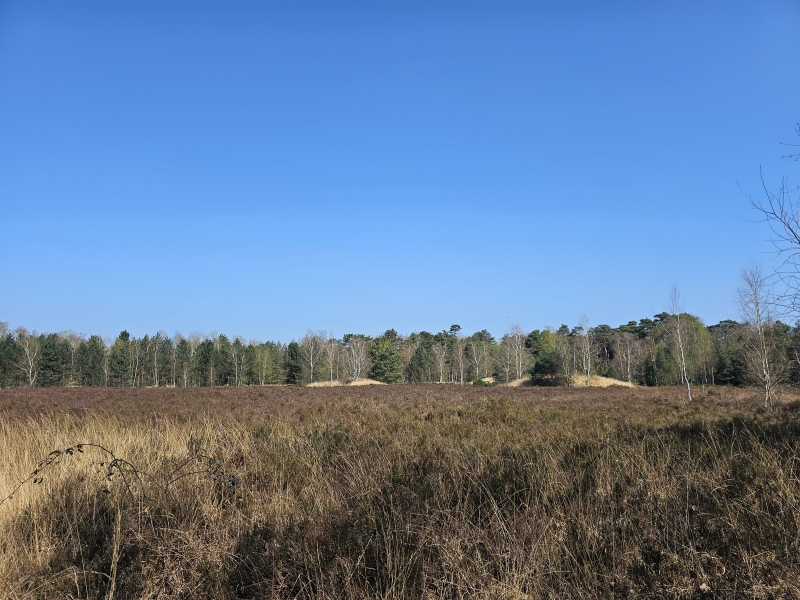 Kapellen